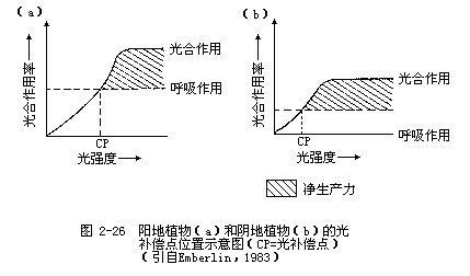 光补偿板的作用